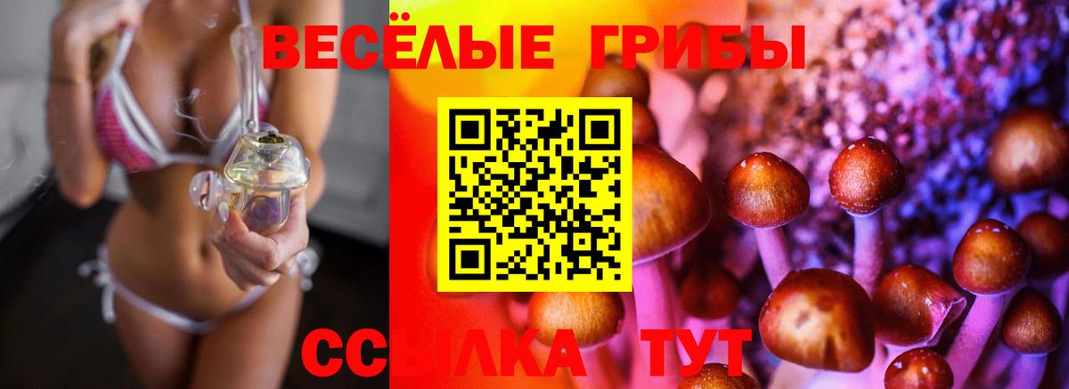 Псилоцибиновые грибы Magic Shrooms Ялта